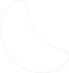 layout-slider1-021.png