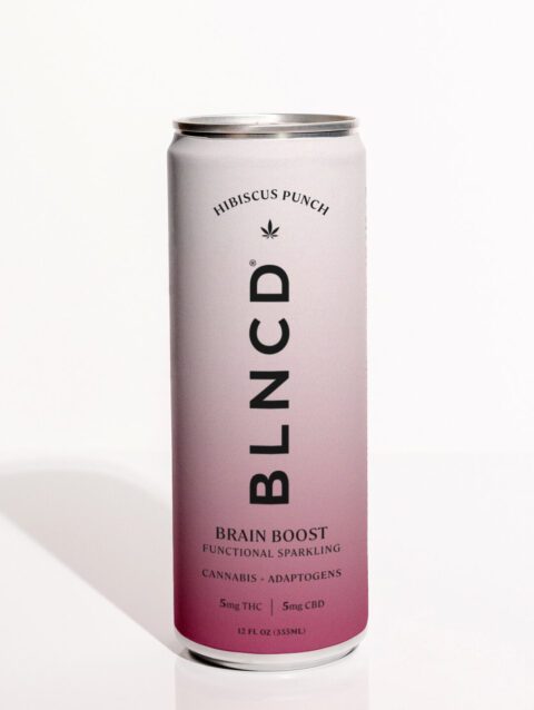 Brain Boost- THC + Mushroom Functional Elixir