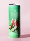 Watermelon Cucumber Mint Delta 9 Craft Soda
