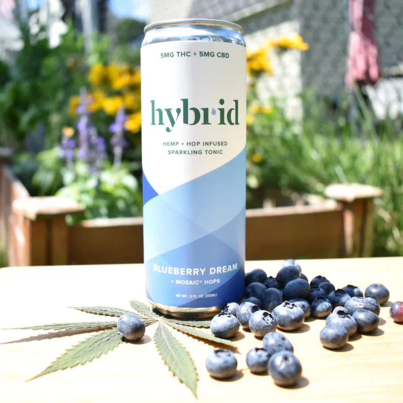 Hybrid Tonic Blueberry Dream Sparkling Beverage | Infused with 5mg THC + 5mg CBD | Relaxing and Flavorful Refreshment - Image 2