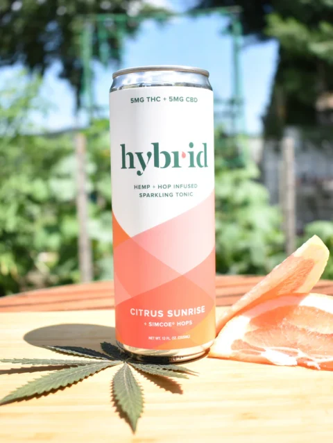 Citrus Sunrise
