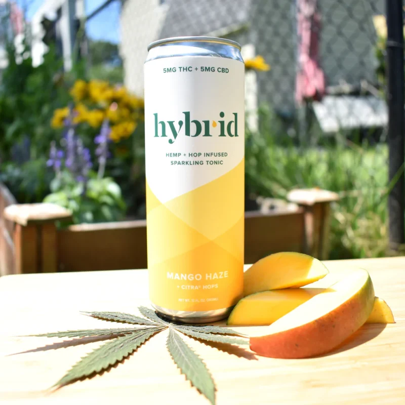 Hybrid Tonic Mango Haze Sparkling Beverage | Infused with 5mg THC + 5mg CBD | Tropical Flavor and Relaxing Wellness - Image 2