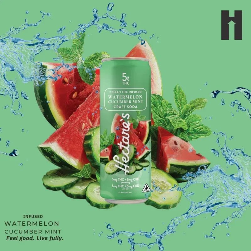 Hectare’s Watermelon Cucumber Mint Delta 9 Craft Soda – 5mg THC & CBD – Zero Calories & Sugar - Image 2