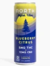 Higher Vibes Blueberry Citrus
