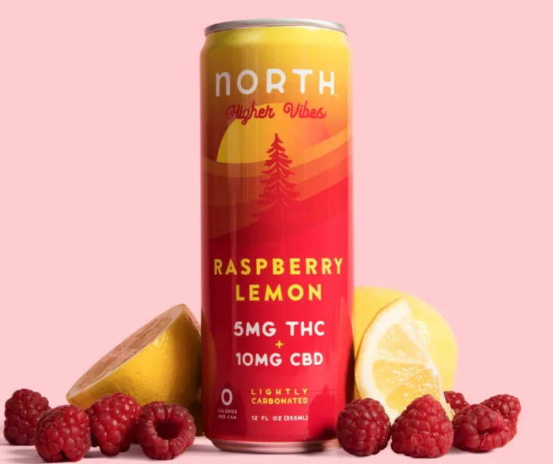 North Canna Co. Higher Vibes Raspberry Lemon THC + CBD Sparkling Water – Zero Sugar & Balanced Relaxation - Image 2