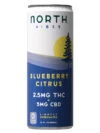 Vibes Blueberry Citrus