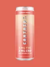 Ginger Peach THC Seltzer